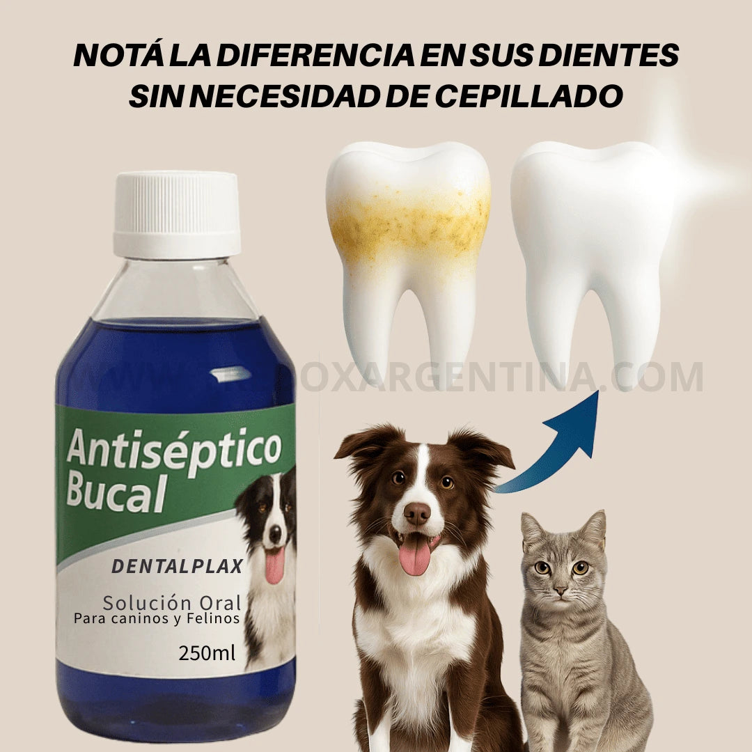 OFERTA LIMITADA 2X1 | Enjuague Bucal DentalPlax Pets™: Aliento limpio y encías sanas SIN Cepillar