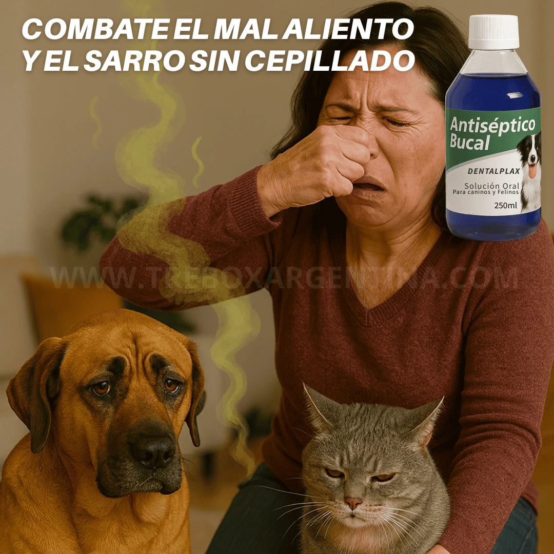 OFERTA LIMITADA 2X1 | Enjuague Bucal DentalPlax Pets™: Aliento limpio y encías sanas SIN Cepillar