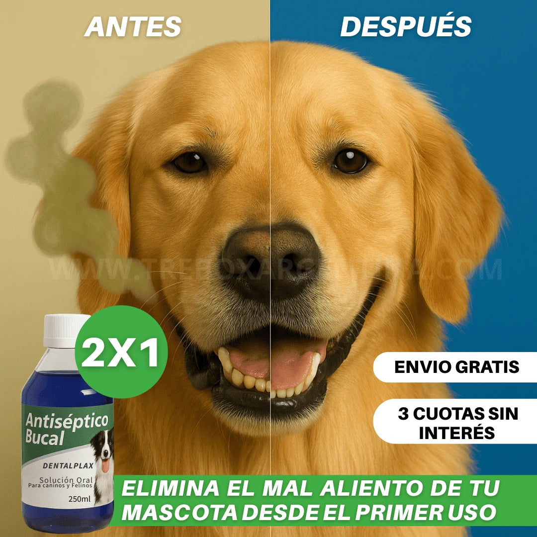 OFERTA LIMITADA 2X1 | Enjuague Bucal DentalPlax Pets™: Aliento limpio y encías sanas SIN Cepillar