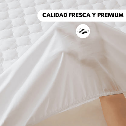 Protector de colchón DreamCover
