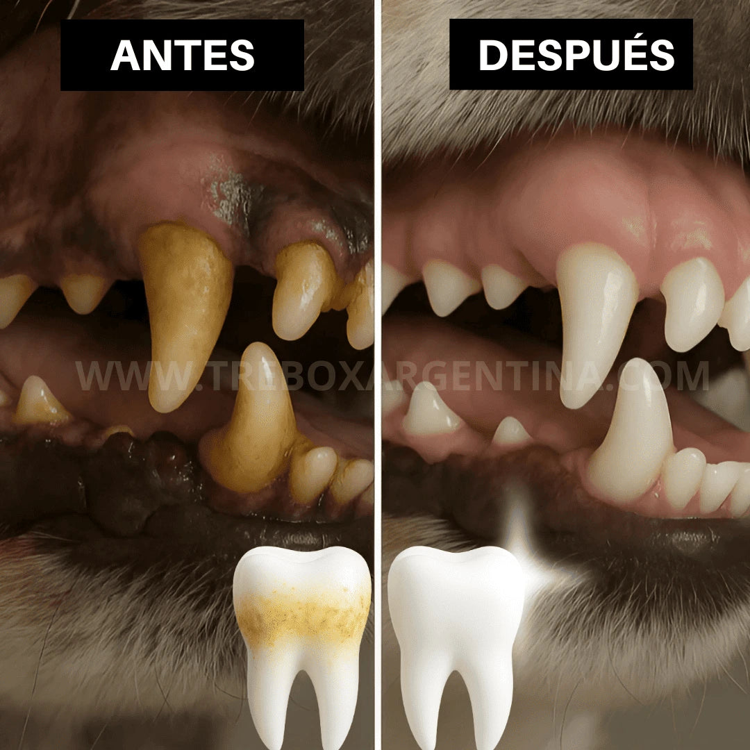 OFERTA LIMITADA 2X1 | Enjuague Bucal DentalPlax Pets™: Aliento limpio y encías sanas SIN Cepillar