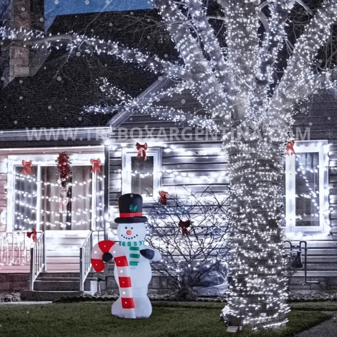 OFERTA 2X1 🎁 | Luces LED Solares ChristmasDecor:  ¡Iluminá tu Navidad SIN LIMITES!