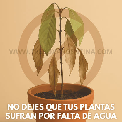 COMBO 4x2🎁 - EcoDrop: Gota de Riego Inteligente | Tus plantas siempre hidratadas