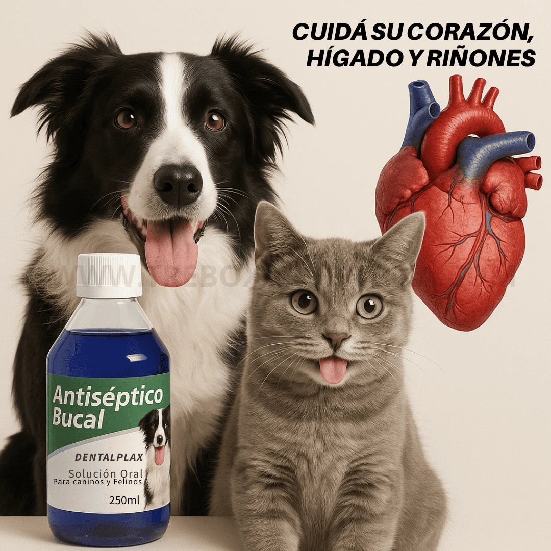 OFERTA LIMITADA 2X1 | Enjuague Bucal DentalPlax Pets™: Aliento limpio y encías sanas SIN Cepillar