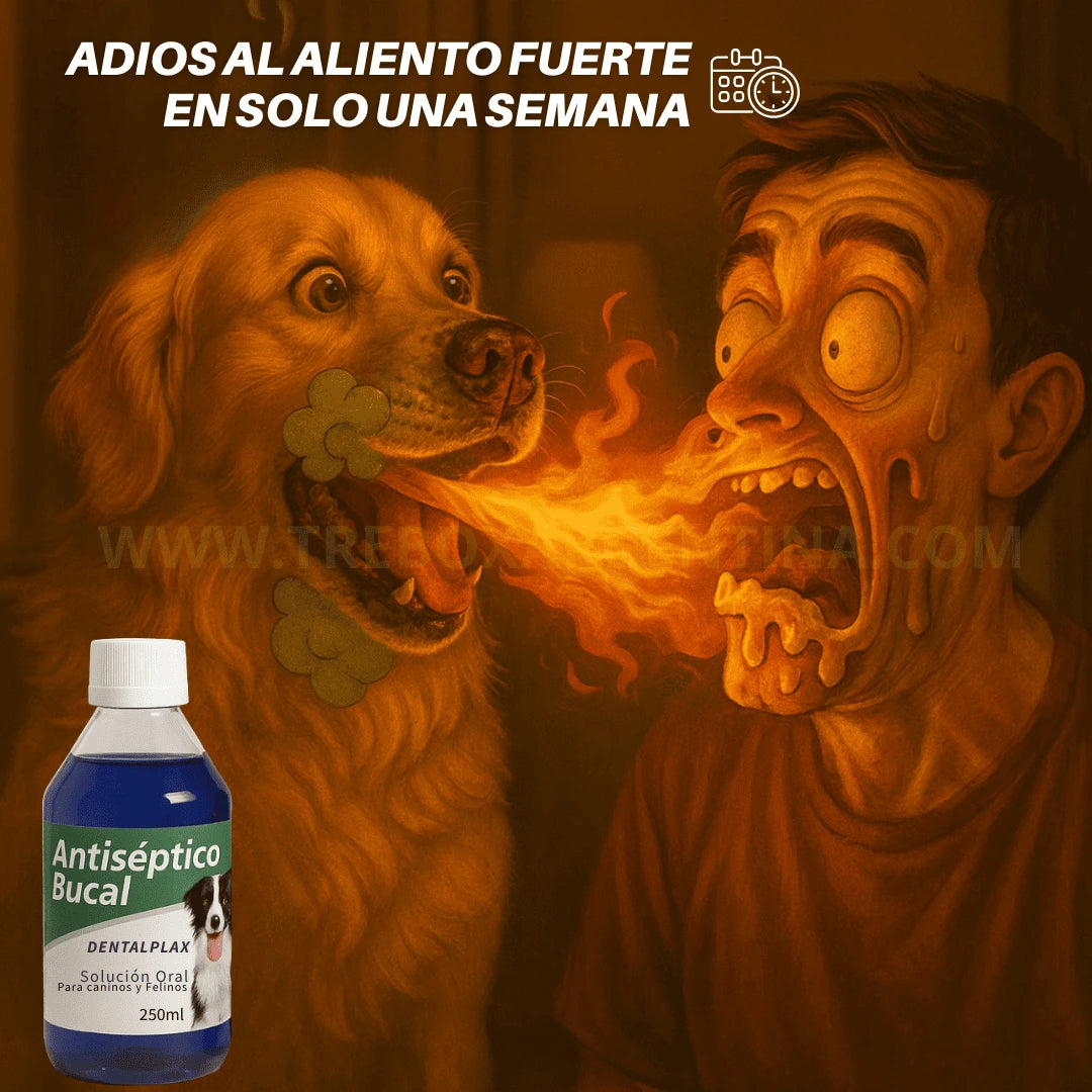 OFERTA LIMITADA 2X1 | Enjuague Bucal DentalPlax Pets™: Aliento limpio y encías sanas SIN Cepillar