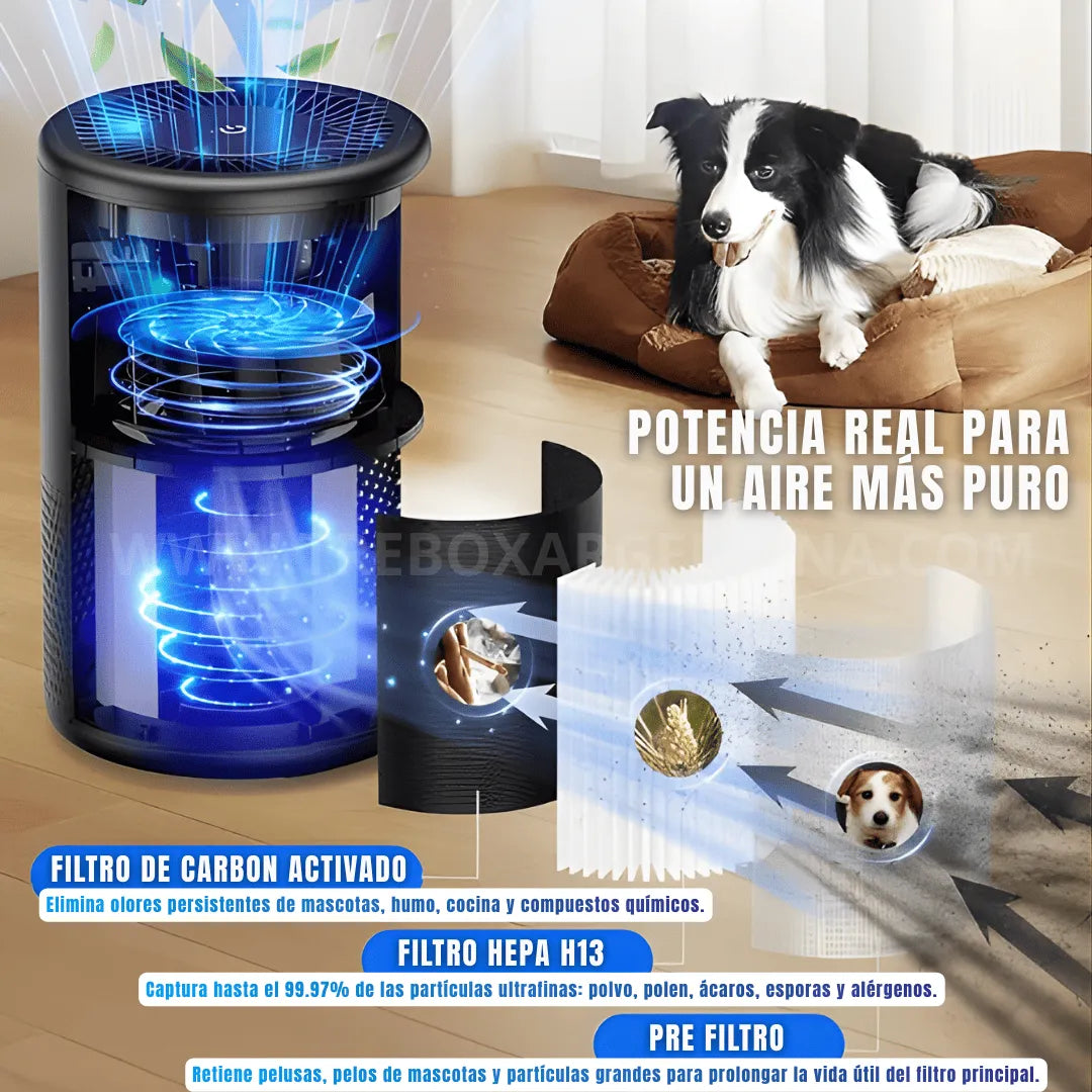 40% NAVIDAD SALE🎁 | SmokeHome™ Purificador Antitoxinas: Protegé los pulmones de los tuyos del humo del cigarrillo, vapeo y olores invisibles.